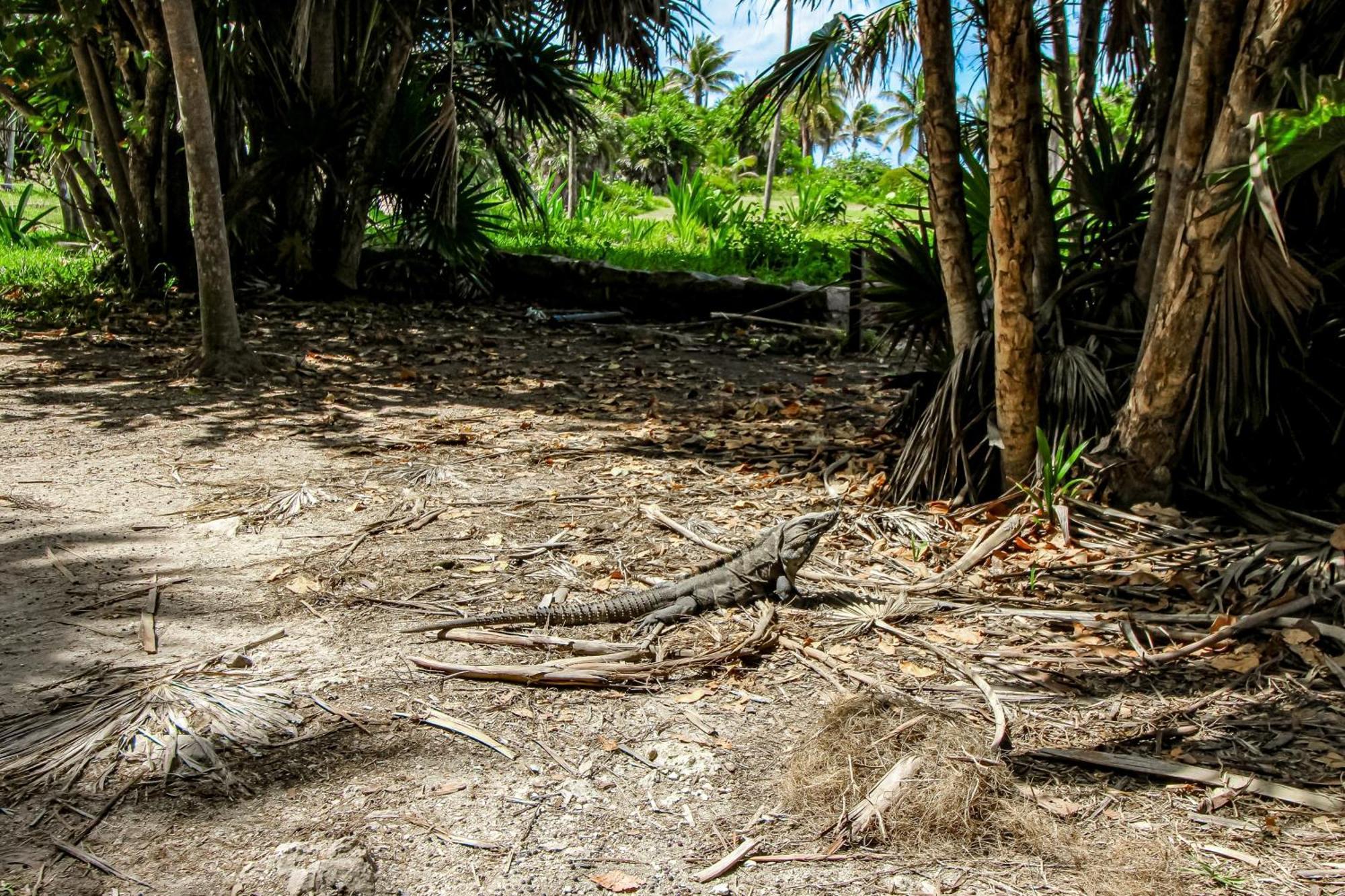 Apartamento Casa Xila 401 Tulum